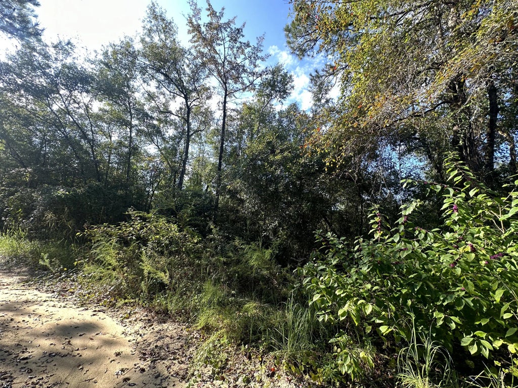 4 of 5 - Tbd S Carroll Drive, Baker, FL