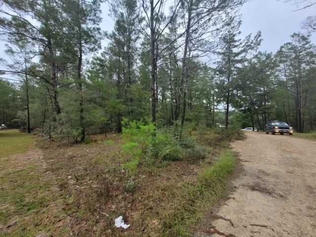 Photo of Listing #962211