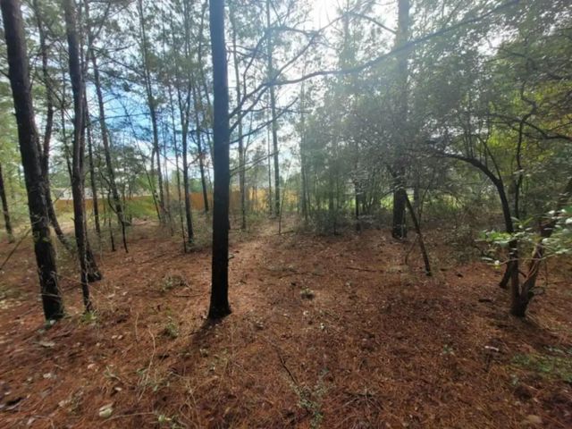 Photo of Listing #962220