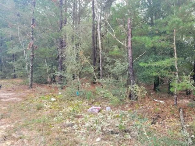 Photo of Listing #962221