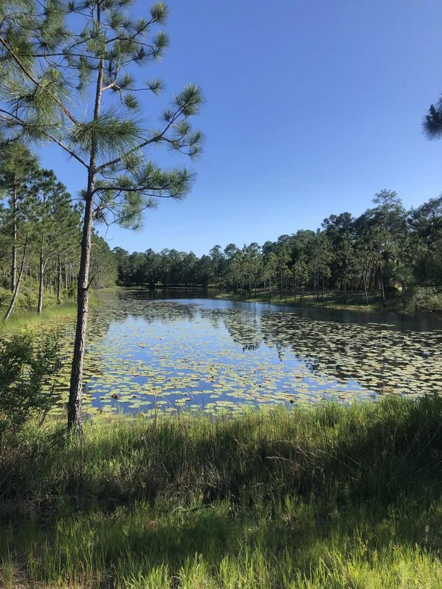 Photo of Listing #963451