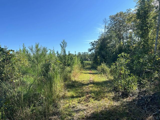 Photo of Listing #963743