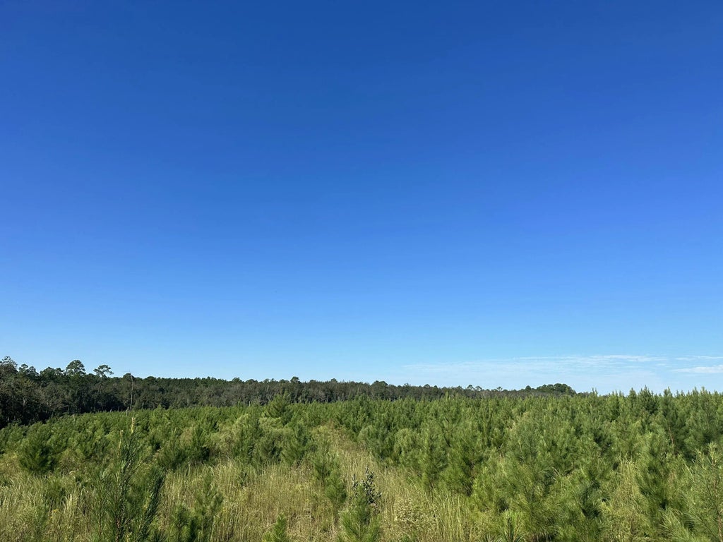 10 of 21 - Parcel L Buck Tyner Road, Laurel Hill, FL