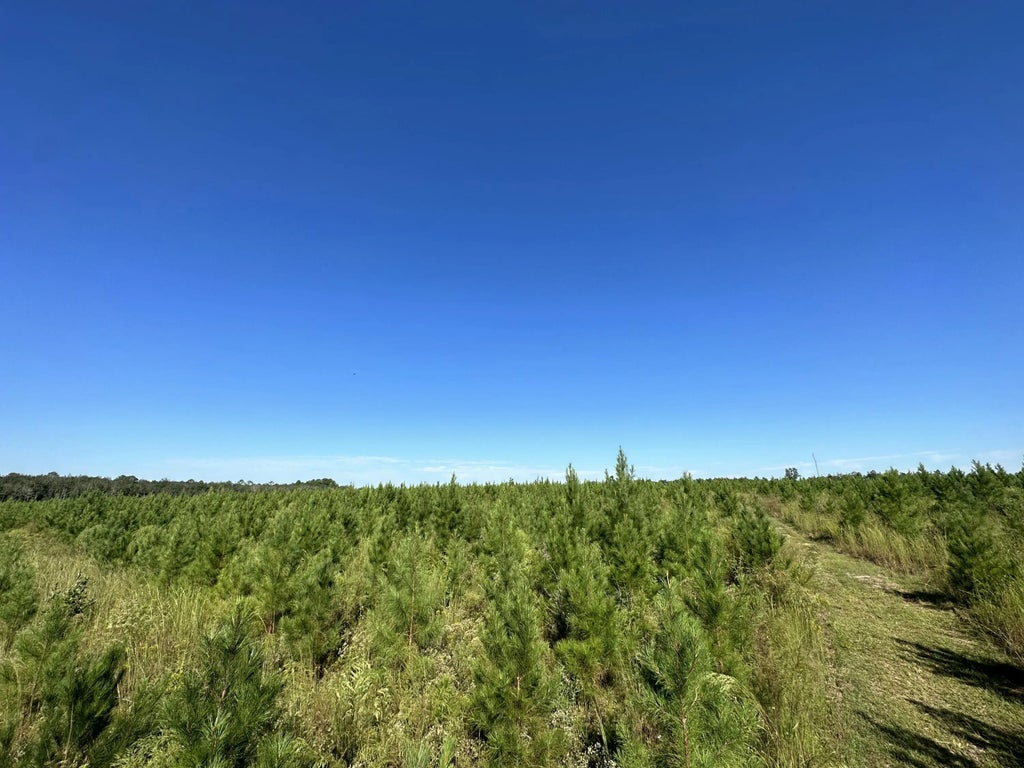 12 of 21 - Parcel L Buck Tyner Road, Laurel Hill, FL