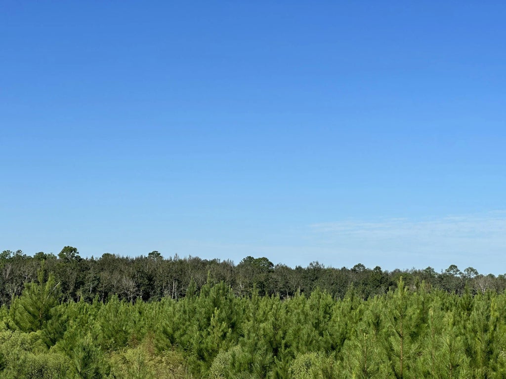 17 of 21 - Parcel L Buck Tyner Road, Laurel Hill, FL