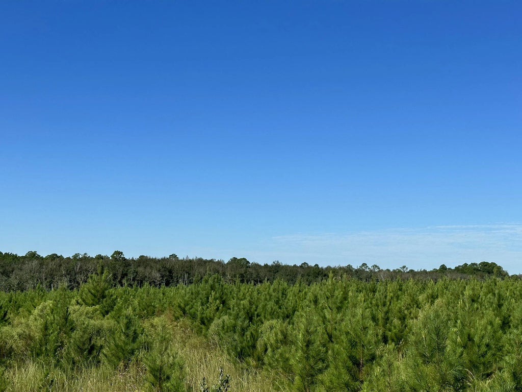 18 of 21 - Parcel L Buck Tyner Road, Laurel Hill, FL