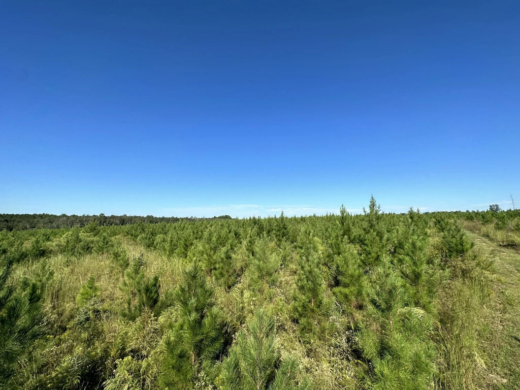 20 of 21 - Parcel L Buck Tyner Road, Laurel Hill, FL