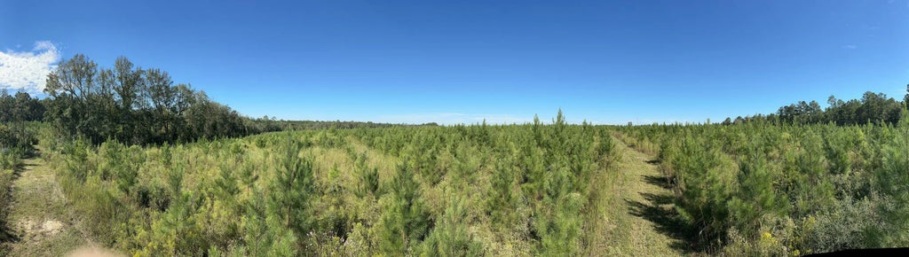 21 of 21 - Parcel L Buck Tyner Road, Laurel Hill, FL