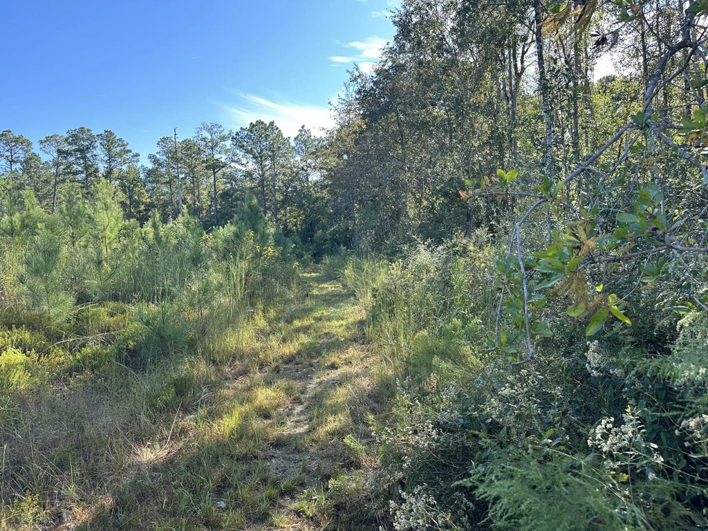 4 of 21 - Parcel L Buck Tyner Road, Laurel Hill, FL