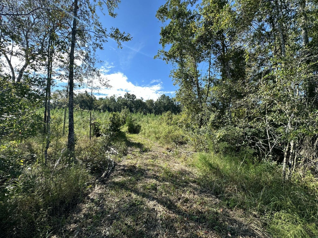 6 of 21 - Parcel L Buck Tyner Road, Laurel Hill, FL
