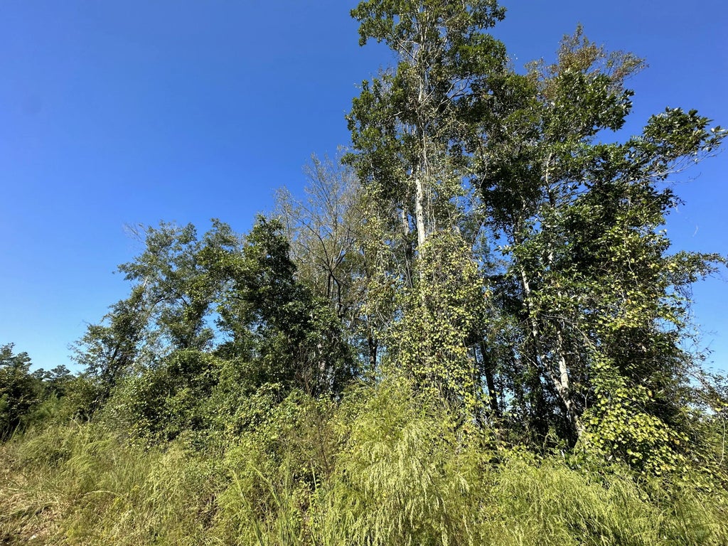 9 of 21 - Parcel L Buck Tyner Road, Laurel Hill, FL