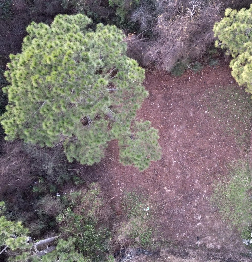 3 of 15 - 2359 Belmont Drive, Navarre, FL