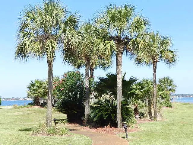 13 of 68 - 8520 Gulf Boulevard 35, Navarre, FL