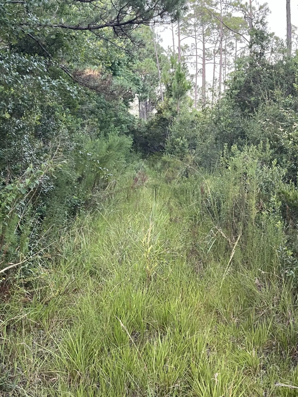 8 of 9 - Lots 12&13 Calm Gulf Drive, Santa Rosa Beach, FL