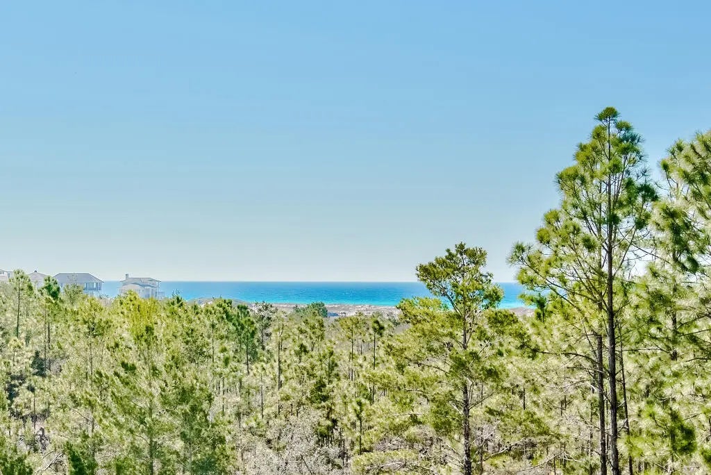 49 of 73 - 90 Sandstone Street, Santa Rosa Beach, FL