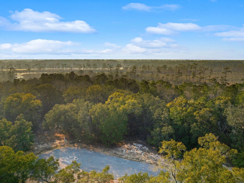 10 of 16 - Lot 2 S J Hunter's Way, Freeport, FL