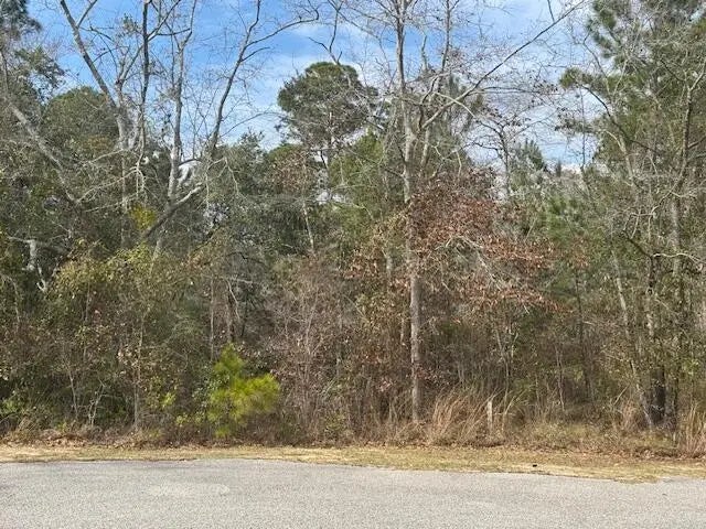 3 of 18 - Lot 76 Harbour Trace, Freeport, FL