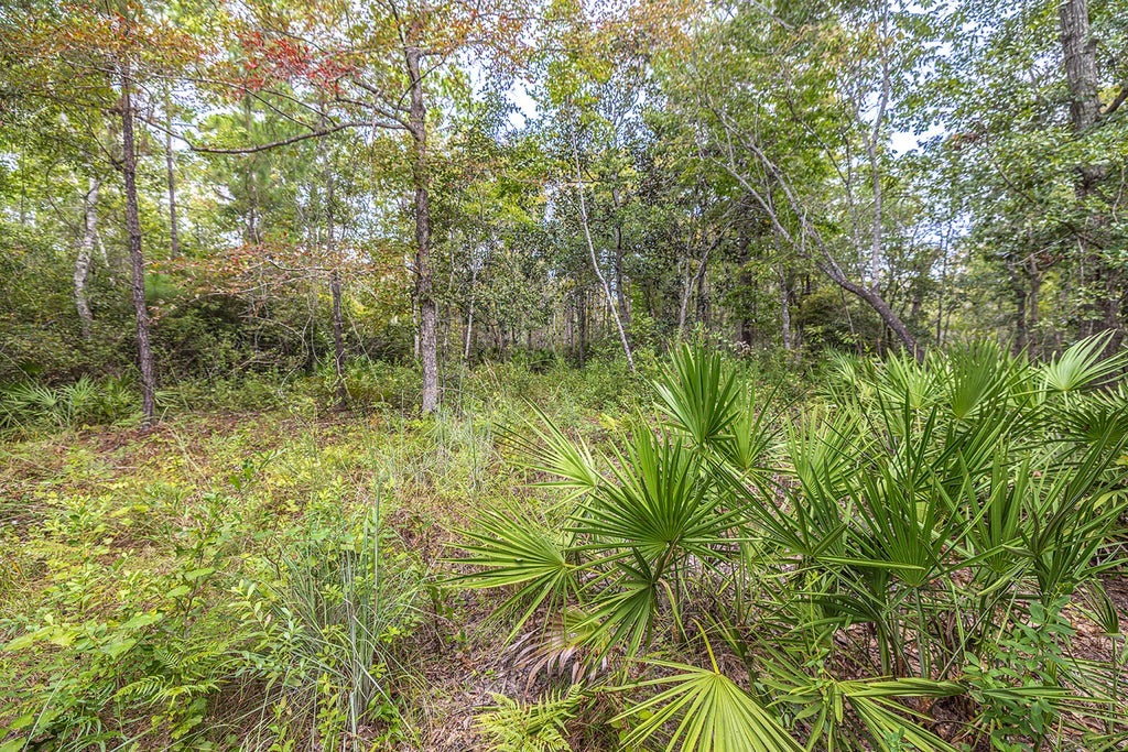 6 of 23 - Lot 77 Harbour Trace, Freeport, FL