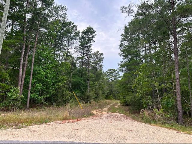 Photo of Listing #969792