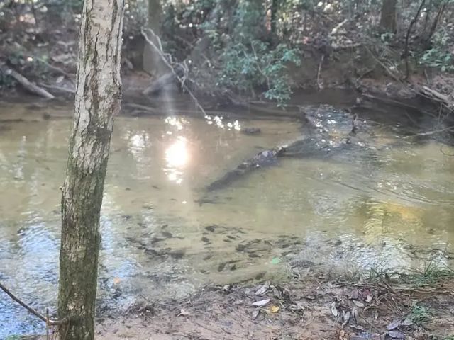 Photo of Listing #969993