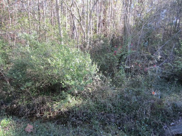 Photo of Listing #971811