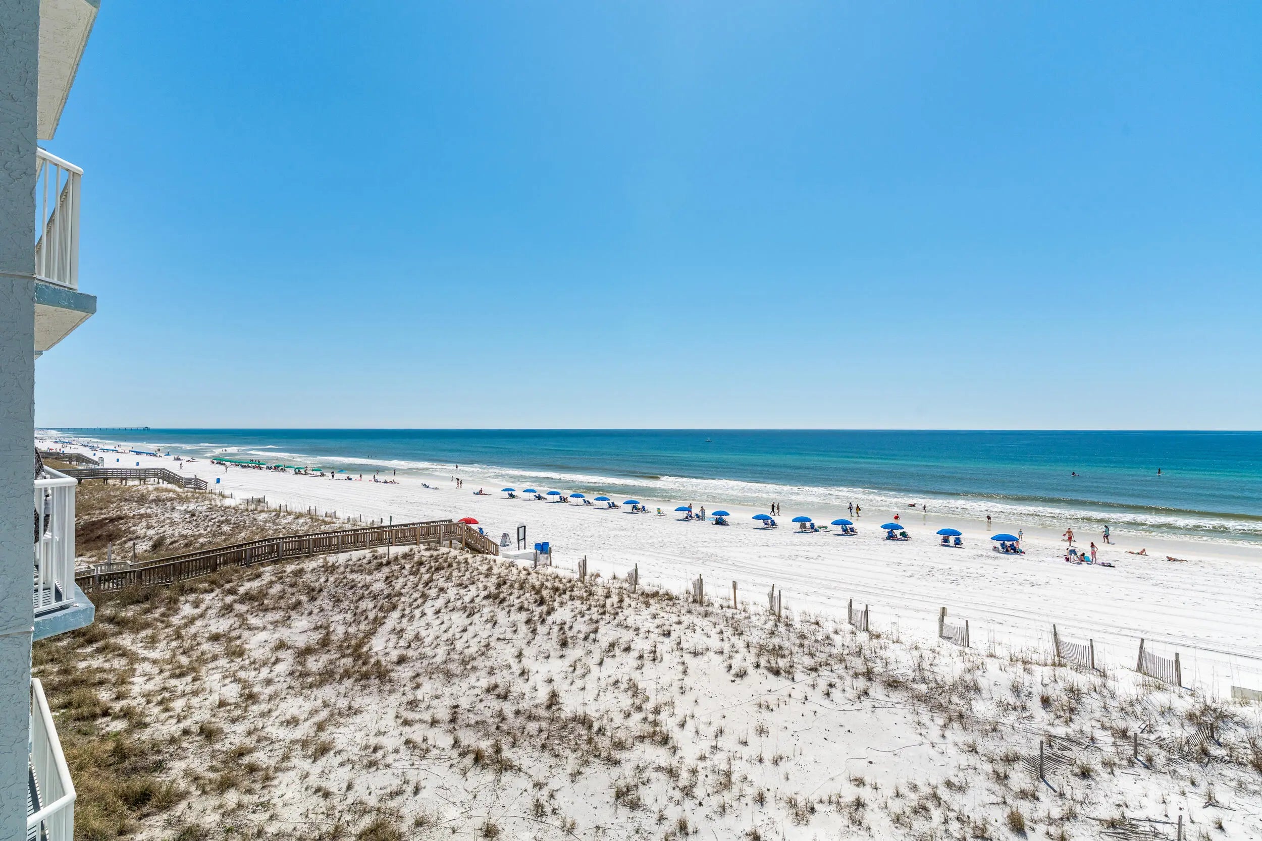 Photo of Listing #972263