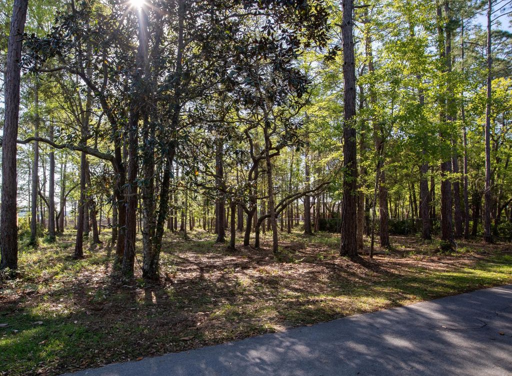 11 of 21 - Lot 23 B Bayside Drive, Freeport, FL