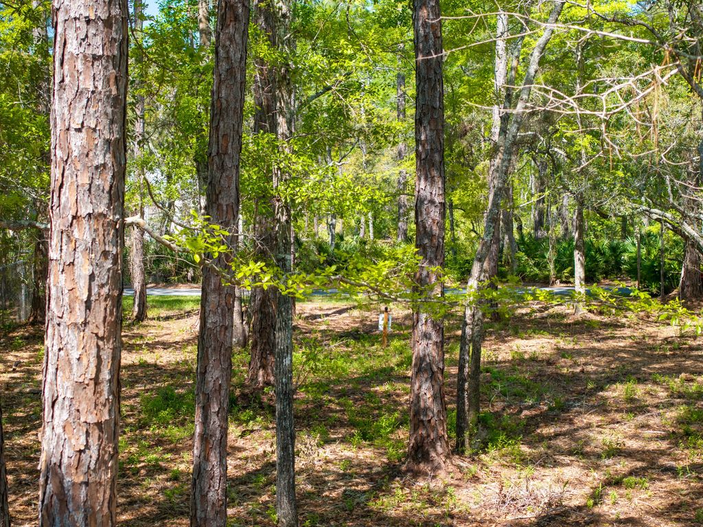 18 of 21 - Lot 23 B Bayside Drive, Freeport, FL
