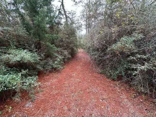 Photo of Listing #974380
