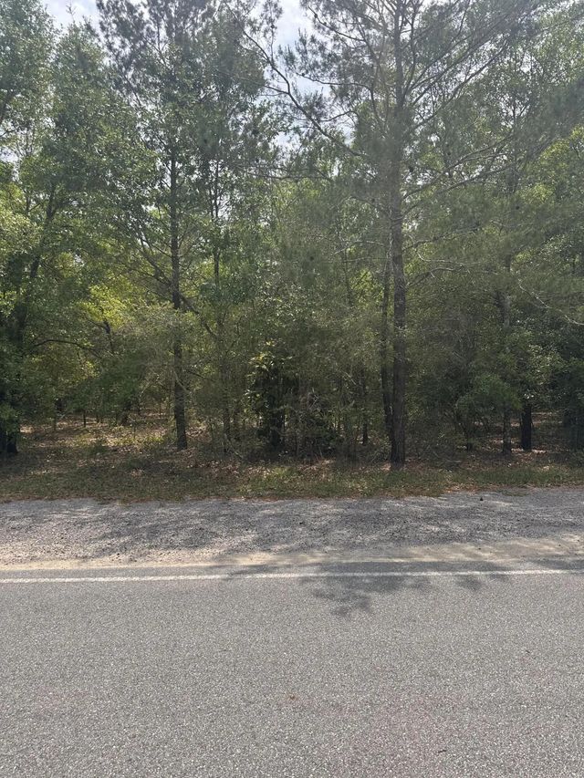 Photo of Listing #975938