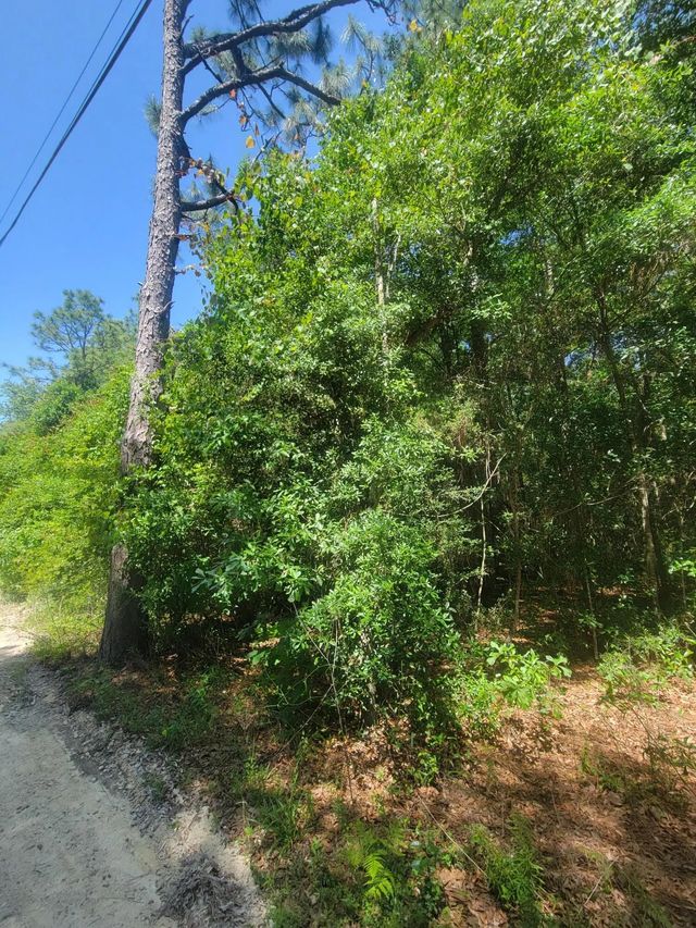 Photo of Listing #976311