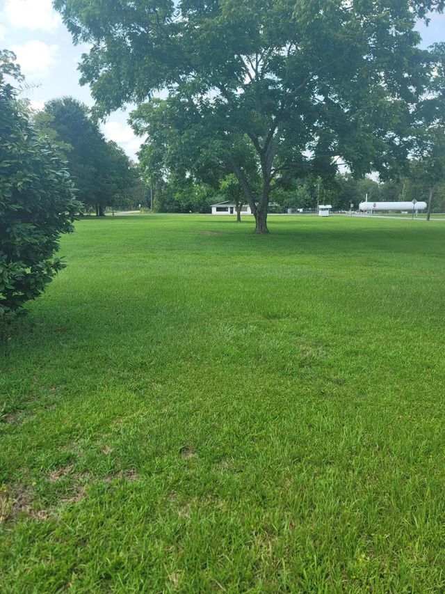 Photo of Listing #977837