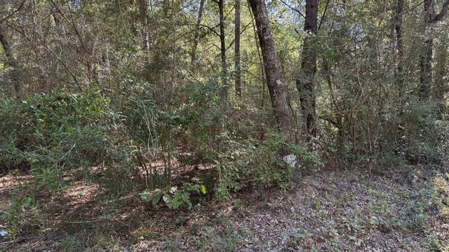 Photo of Listing #976862