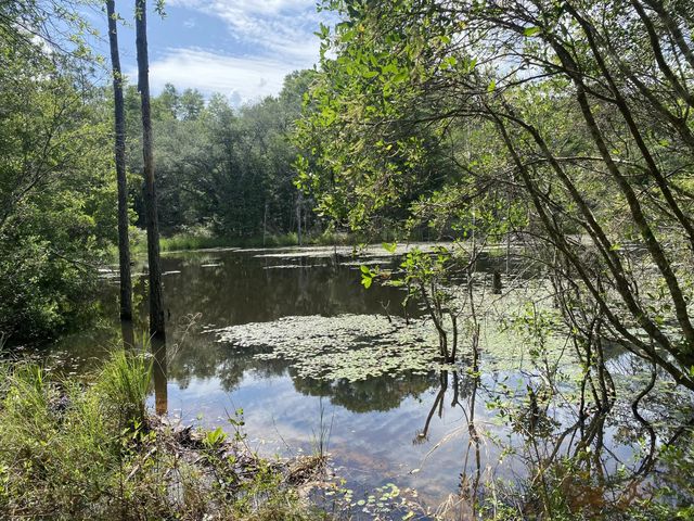 Photo of Listing #977280