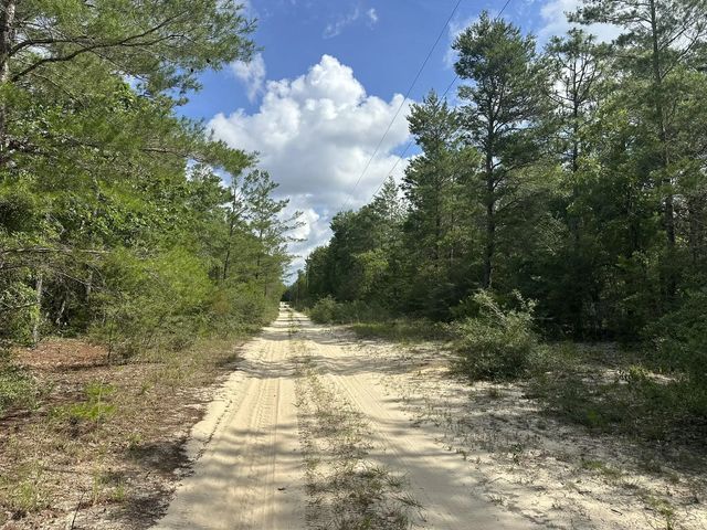 Photo of Listing #978789