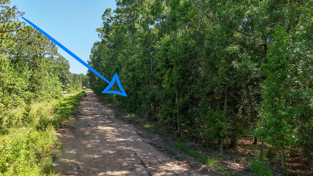 7 of 8 - 4.66 Acres Watson Road, Freeport, FL
