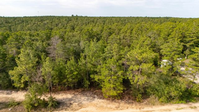 Photo of Listing #980676