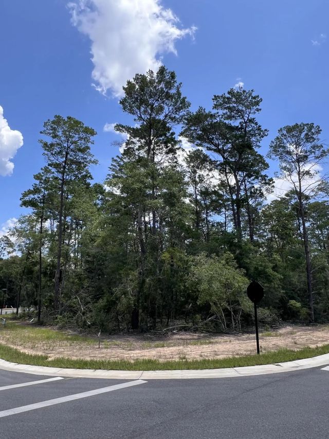 Photo of Listing #980178
