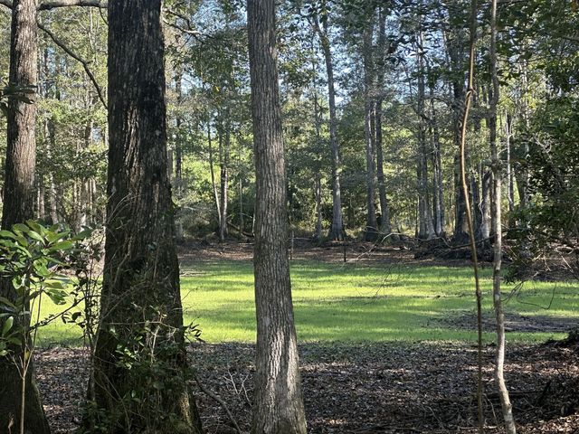 Photo of Listing #980344