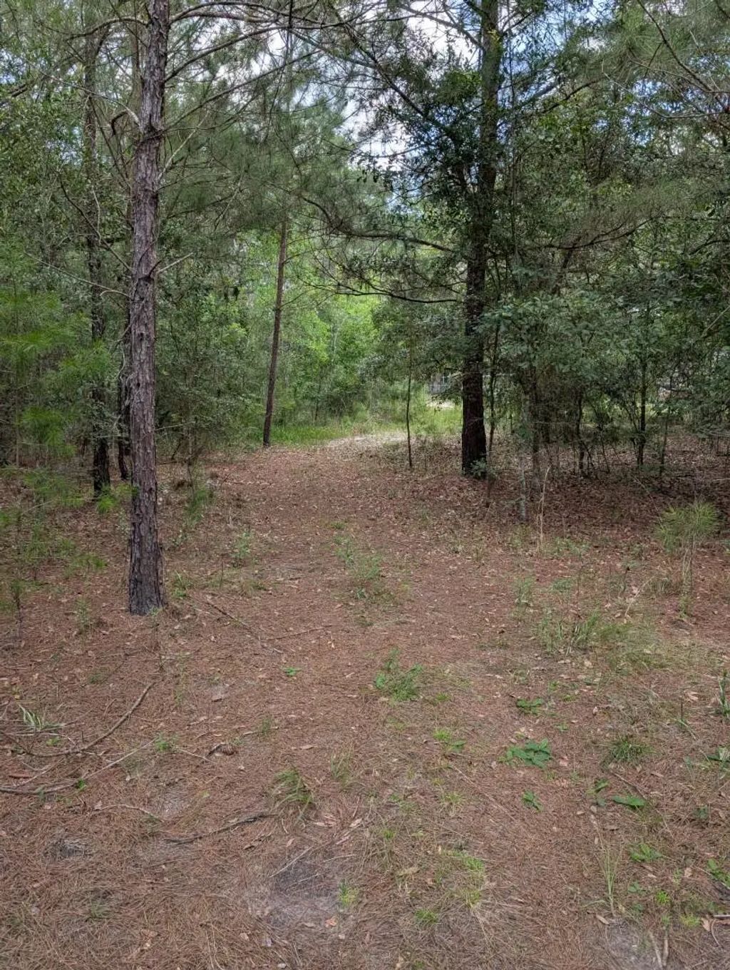 2 of 6 - Tbd Chief Bragg Drive, Freeport, FL