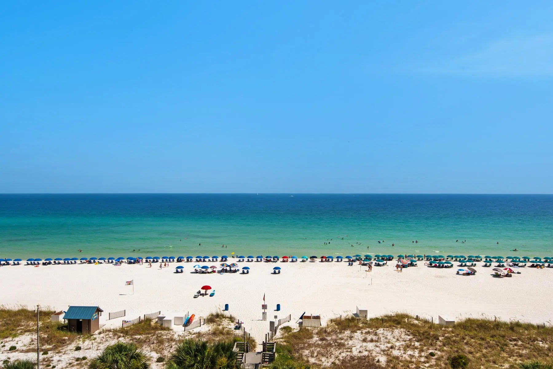 Photo of Listing #981099