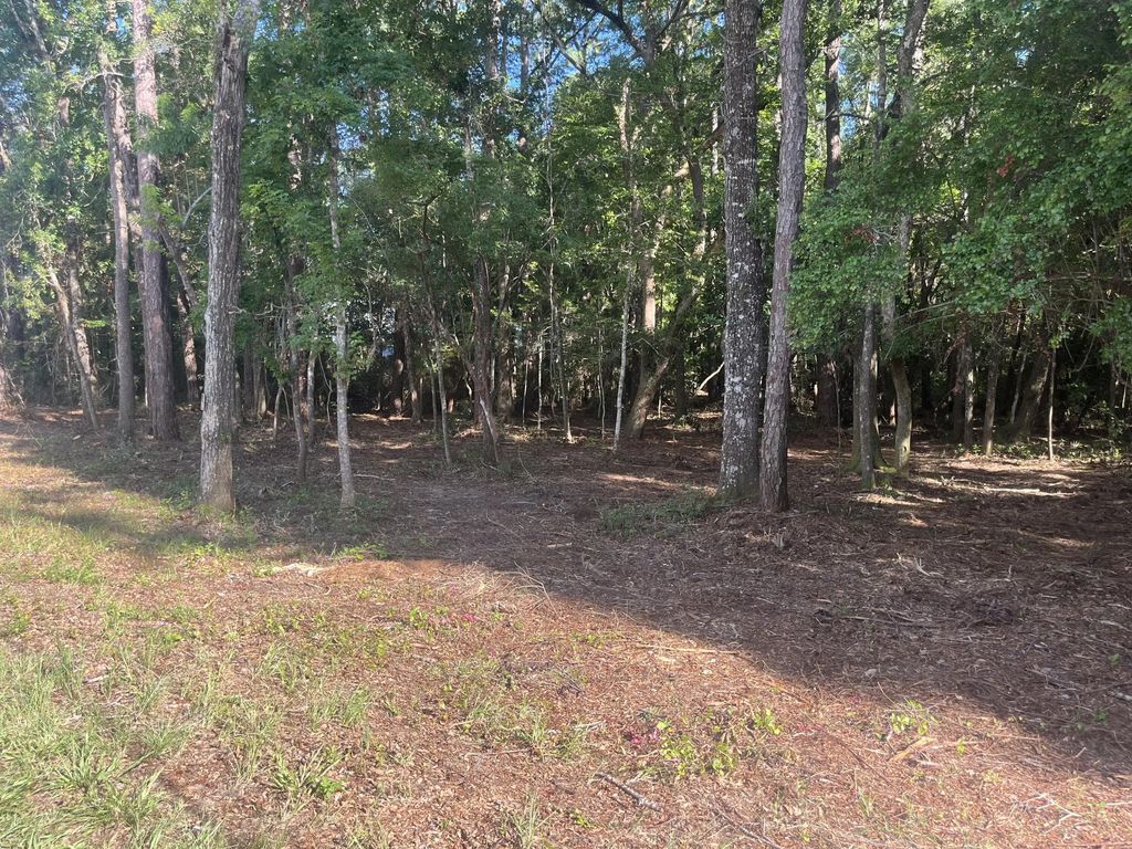 26 of 43 - Tbd Sparkleberry Lane, Freeport, FL