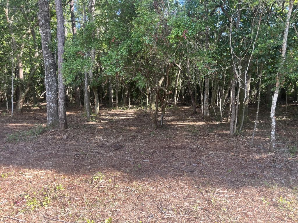27 of 43 - Tbd Sparkleberry Lane, Freeport, FL