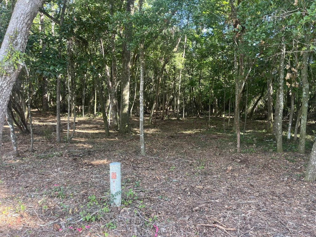 28 of 43 - Tbd Sparkleberry Lane, Freeport, FL