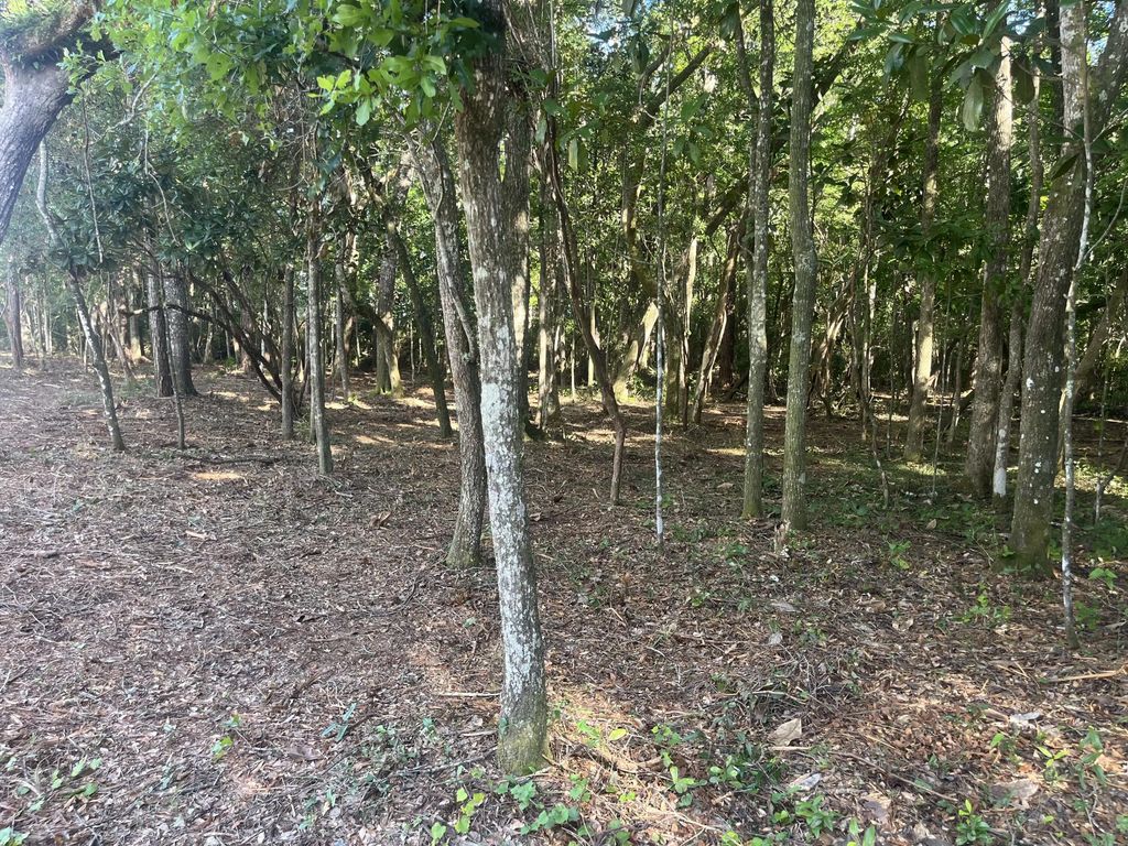 29 of 43 - Tbd Sparkleberry Lane, Freeport, FL
