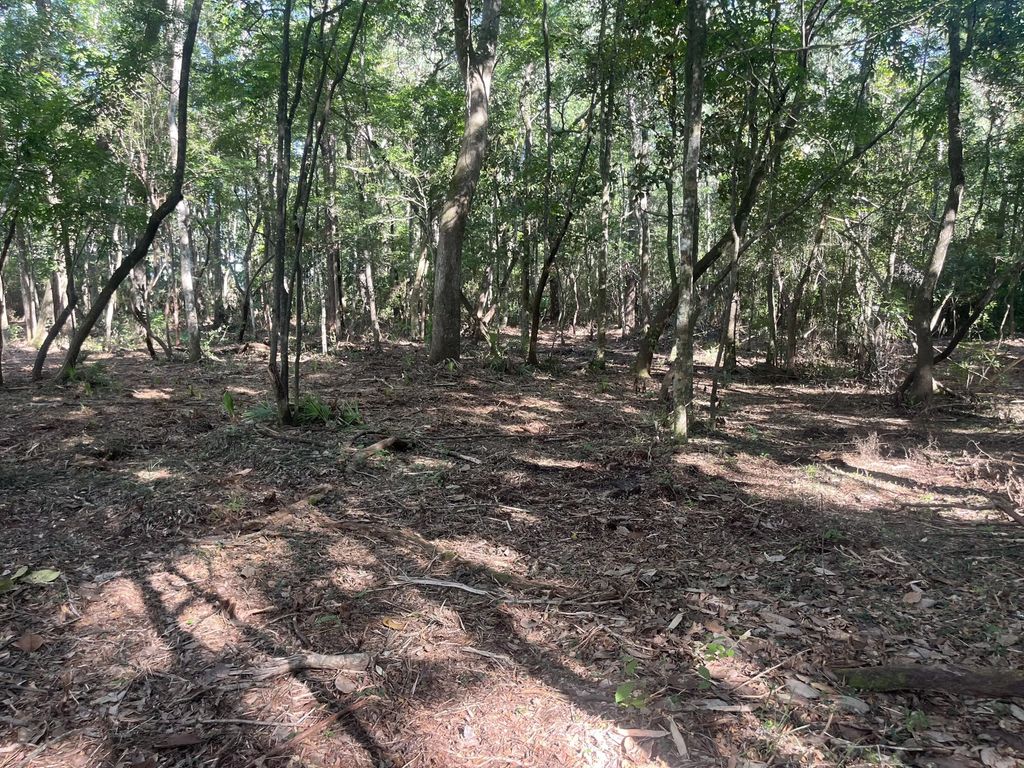 30 of 43 - Tbd Sparkleberry Lane, Freeport, FL