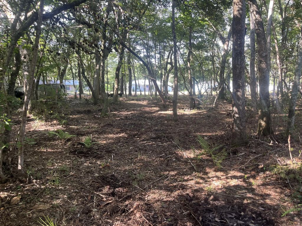 31 of 43 - Tbd Sparkleberry Lane, Freeport, FL