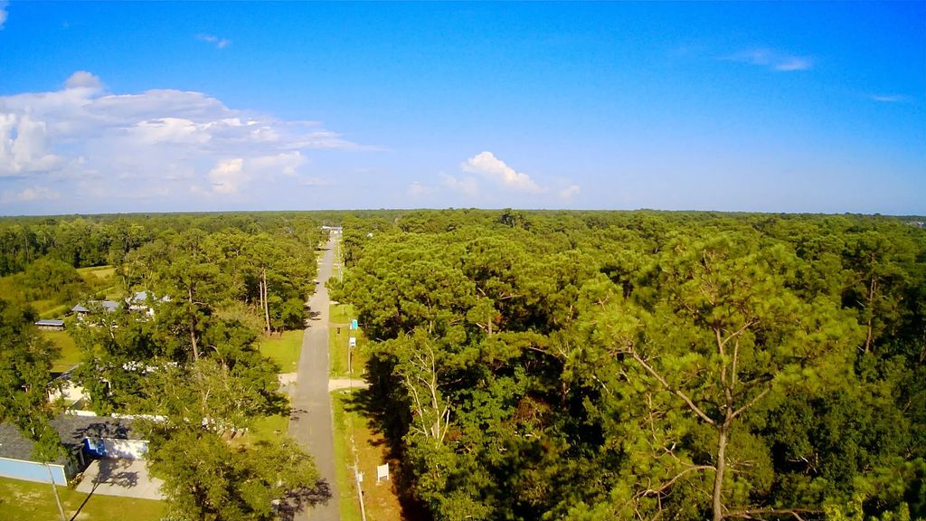 38 of 43 - Tbd Sparkleberry Lane, Freeport, FL