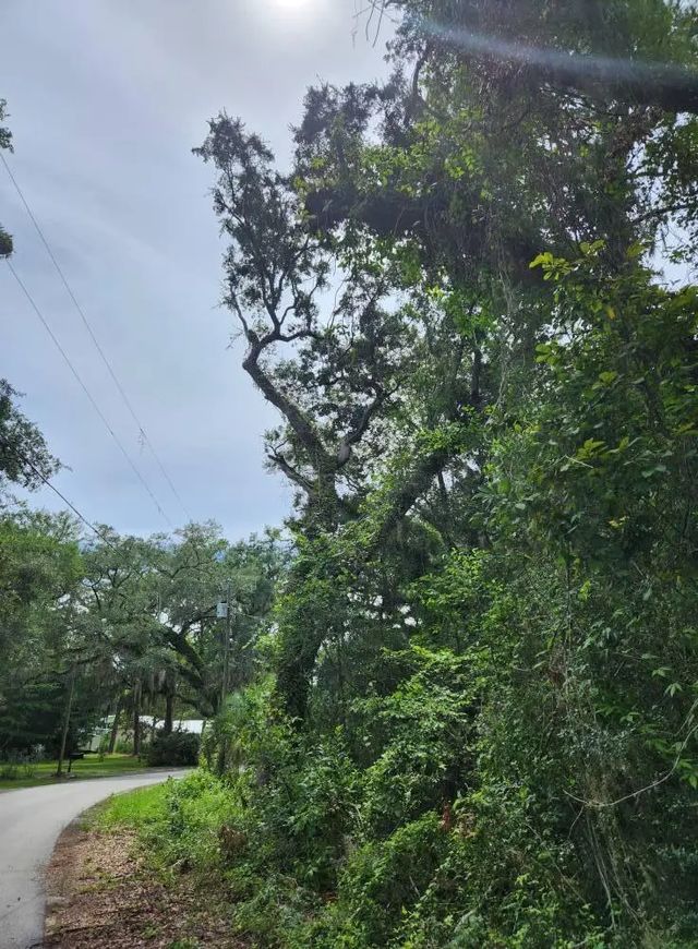 Photo of Listing #982507