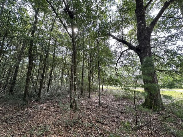 Photo of Listing #983054